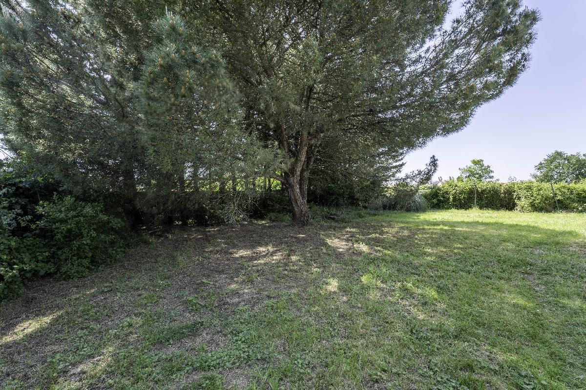 Beau terrain à bâtir de 297 m² en premier rideau