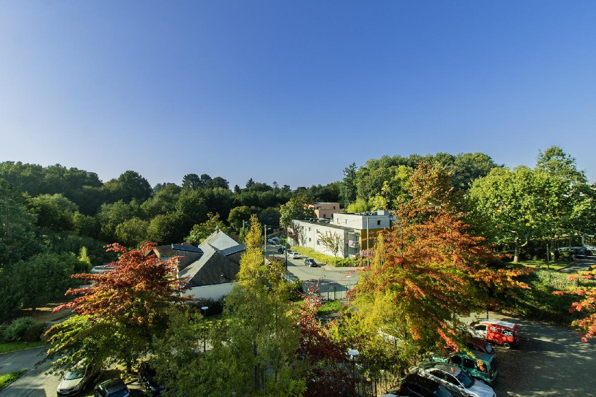 Studio &eacute;tudiant &agrave; Nantes, au calme avec vue arbor&eacute;e